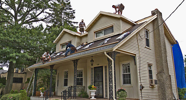 Best Roof Gutter Cleaning  in Brushy Creek, TX