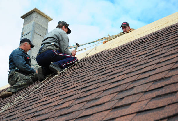 Best Shingle Roofing Installation  in Brushy Creek, TX